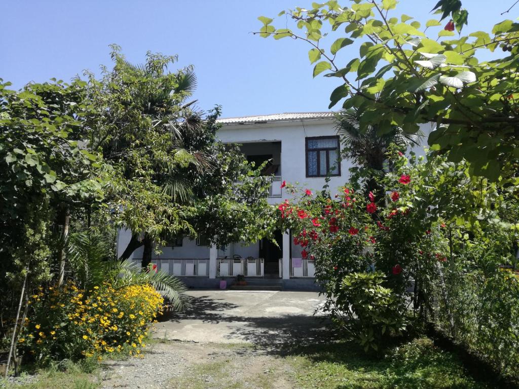 Guest House Makhinjauri — Hotel in Batumi