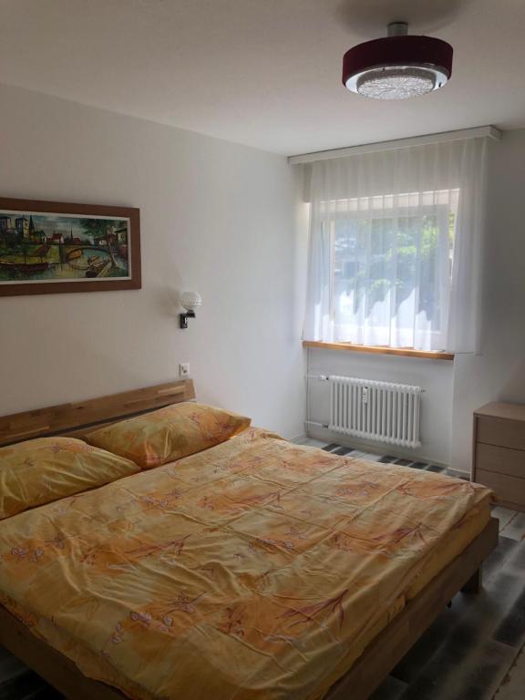 Apartment Zayetta photo