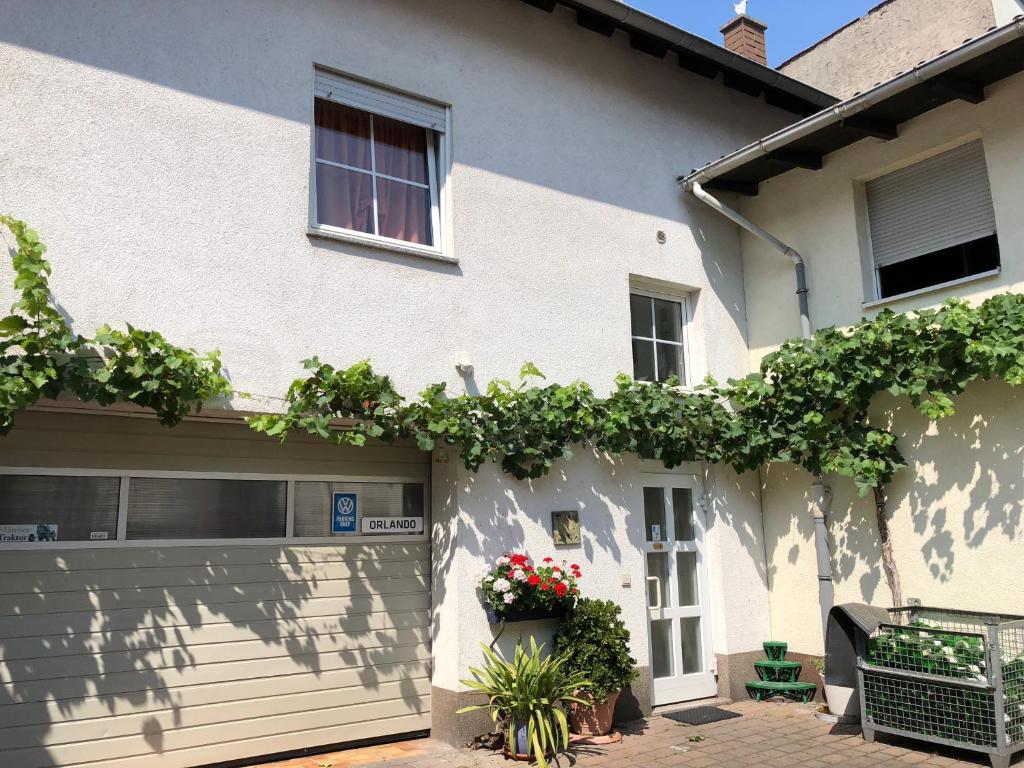 Darmstadter Hof photo