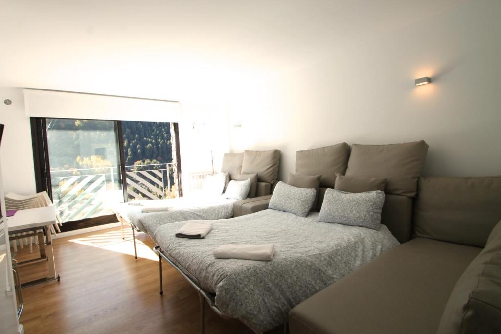 Genciana Estudio en el Tarter, zona Grandvalira - 5