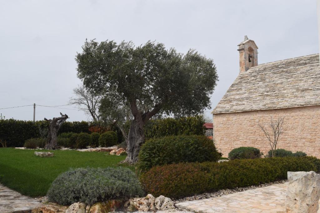 Masseria Corte Masseriola - 4