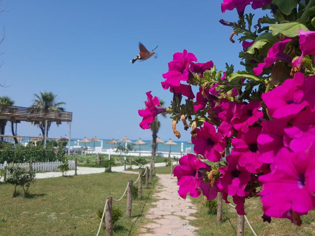 Umami Beach Resort(Karpen) photo