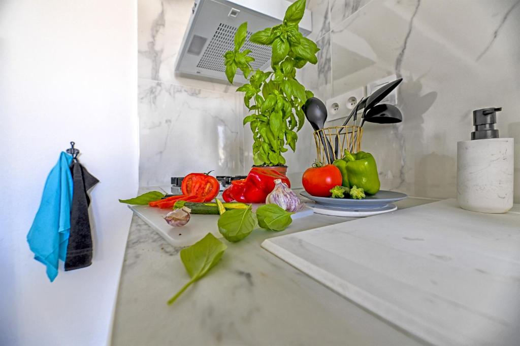 Appartement Romanite photo