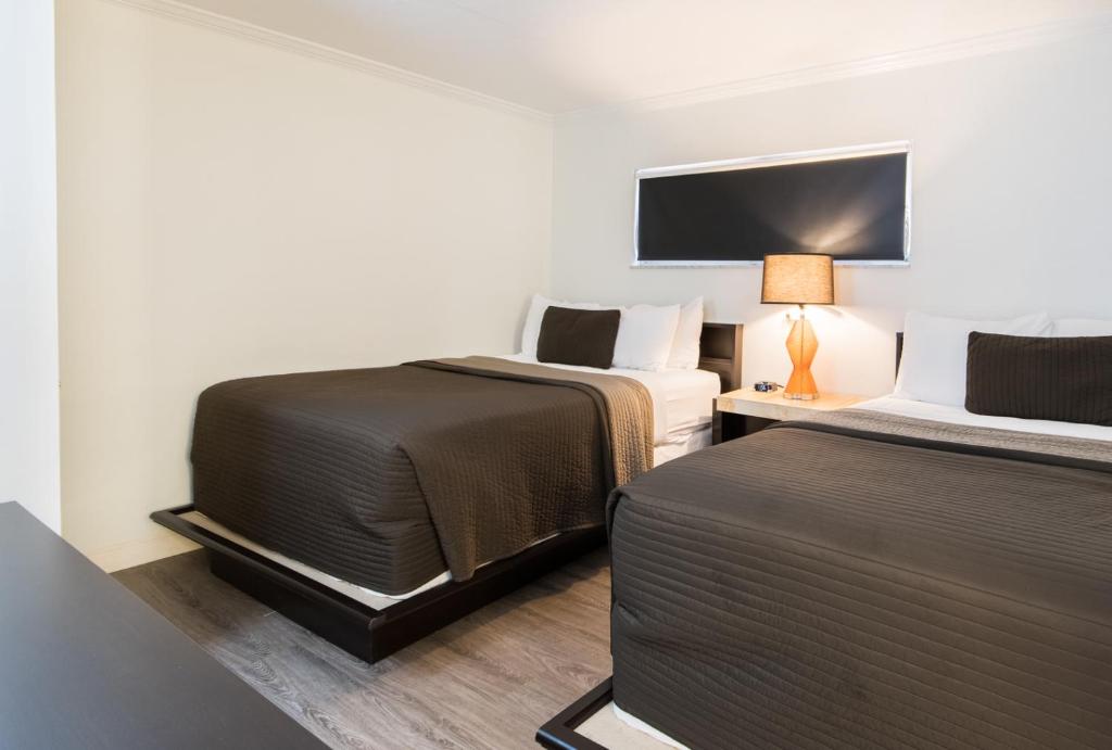 Hibiscus Suites - Sarasota photo