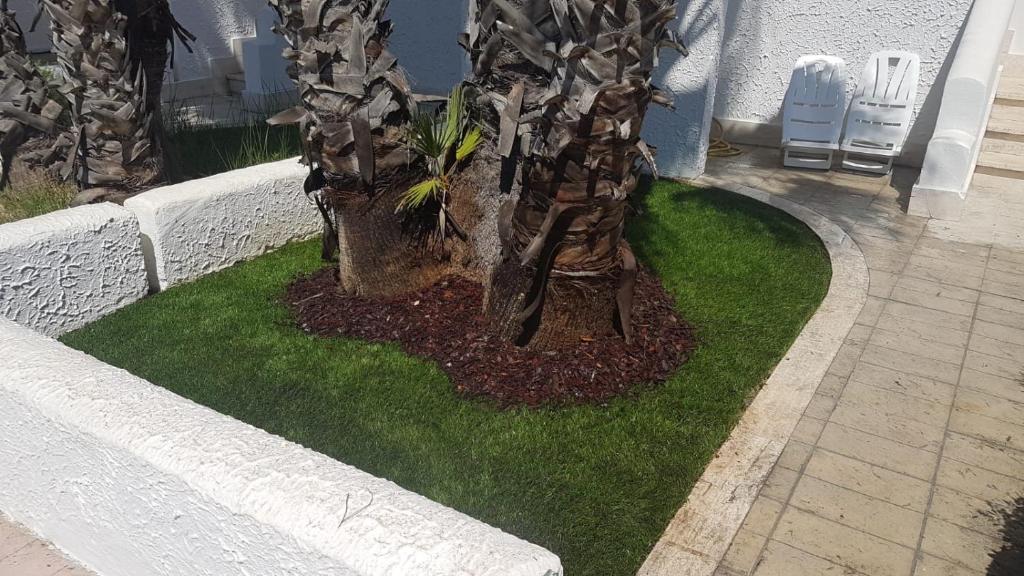 Appartamento Oleandri - Baia Verde - 2