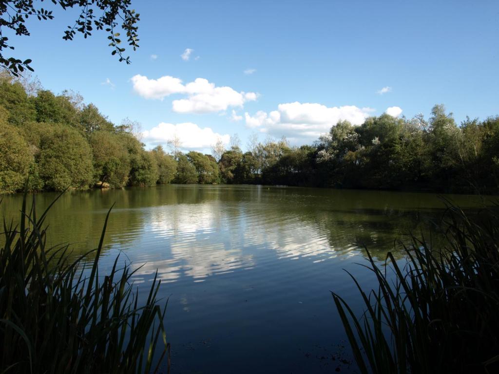 Surrounding environment