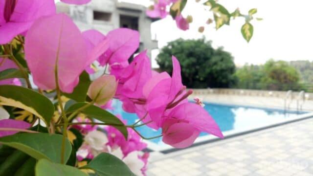 Levels Resort photo