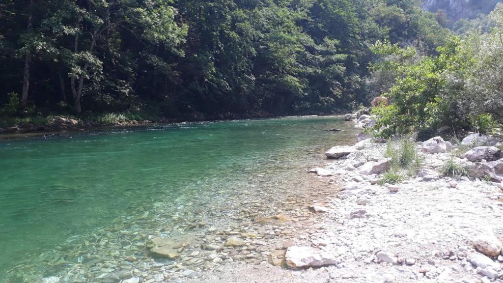 Pansion Neretva photo