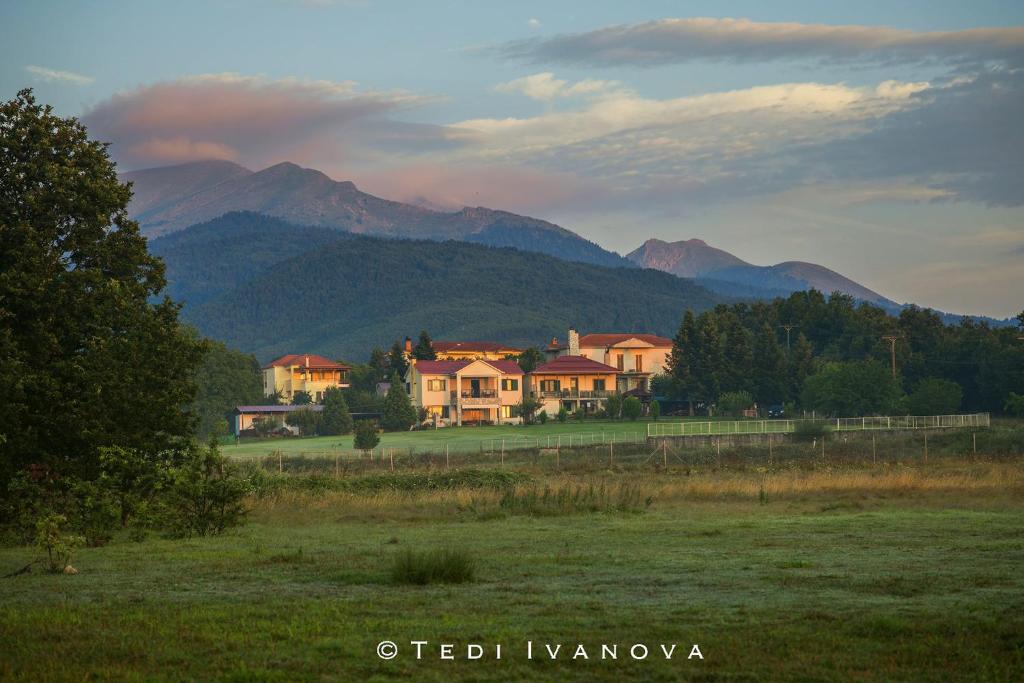 Guesthouse Paralimnia photo