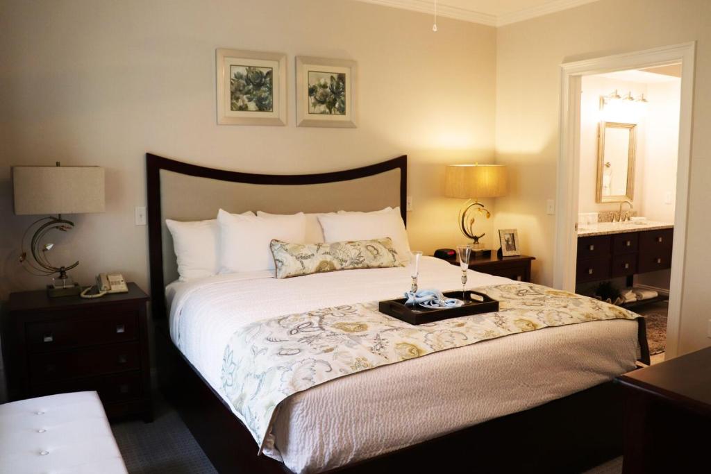 Large One Bedroom Apartment - North