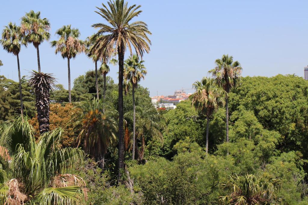 Botanic Views Guest House photo
