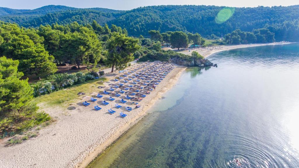Poseidon Hotel Sea Resort — Beach in Porto Carra, Central Macedonia
