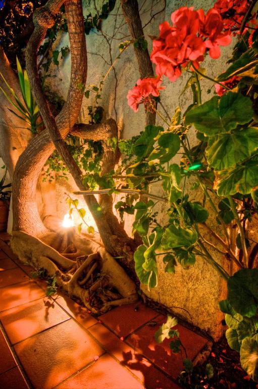 Fortezza Hotel — Restauracje i bary in Retimno