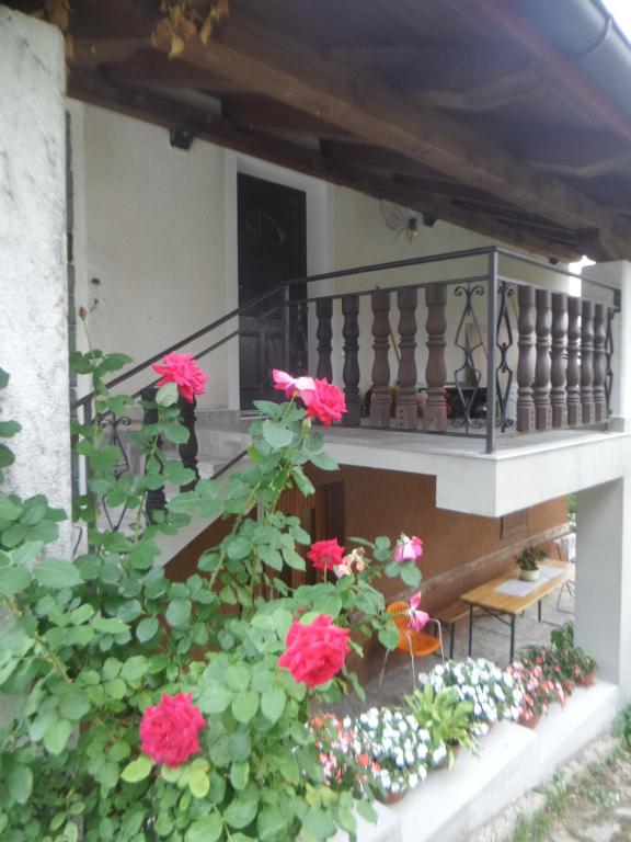 Apartma Sofia photo