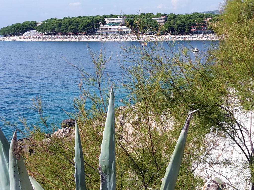 Apartment Primosten Adiomare photo