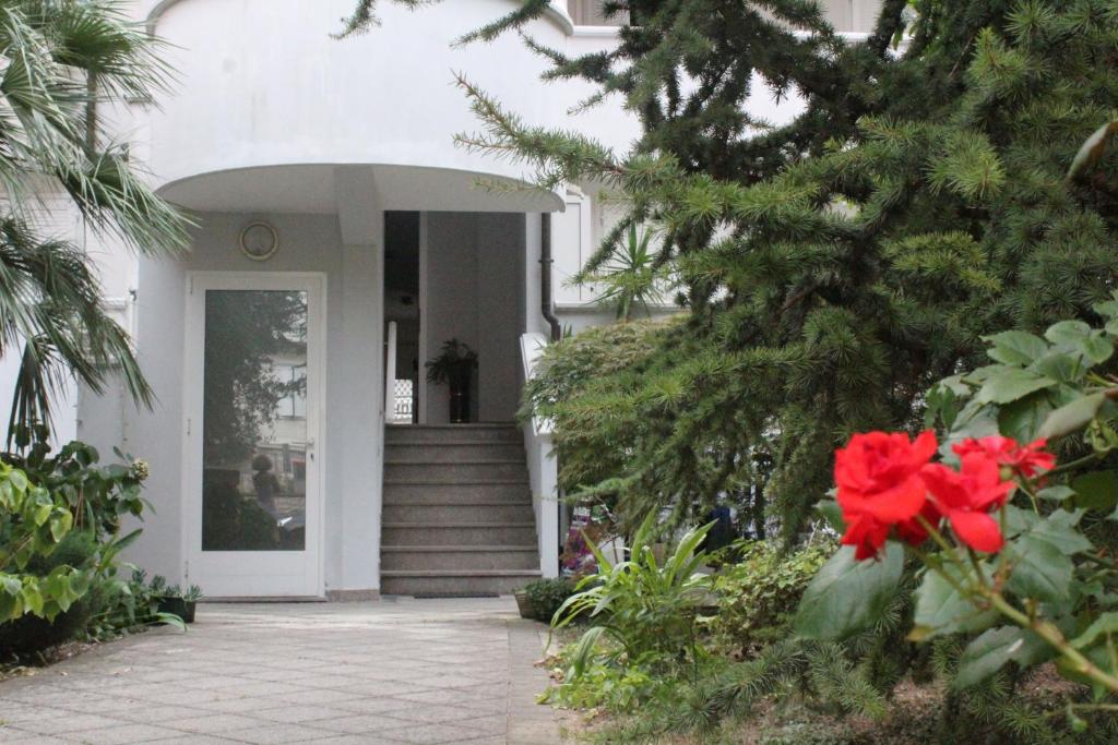 Villa Giulia - 4