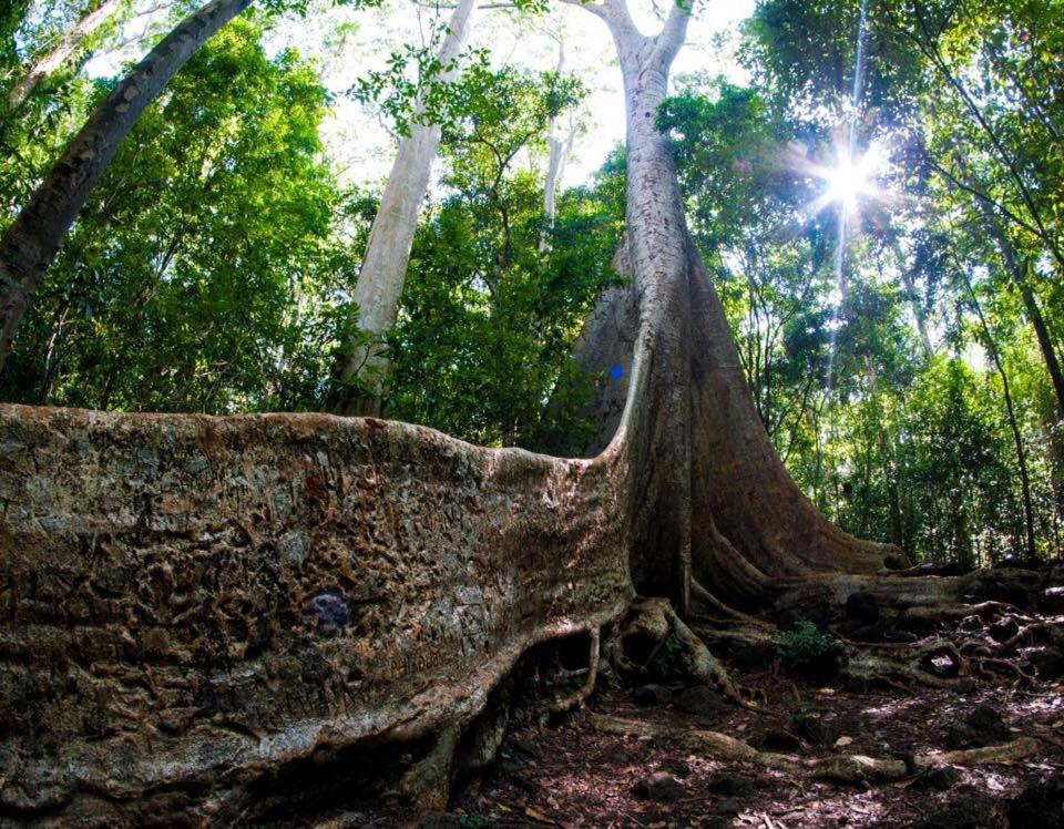 Sports and activities