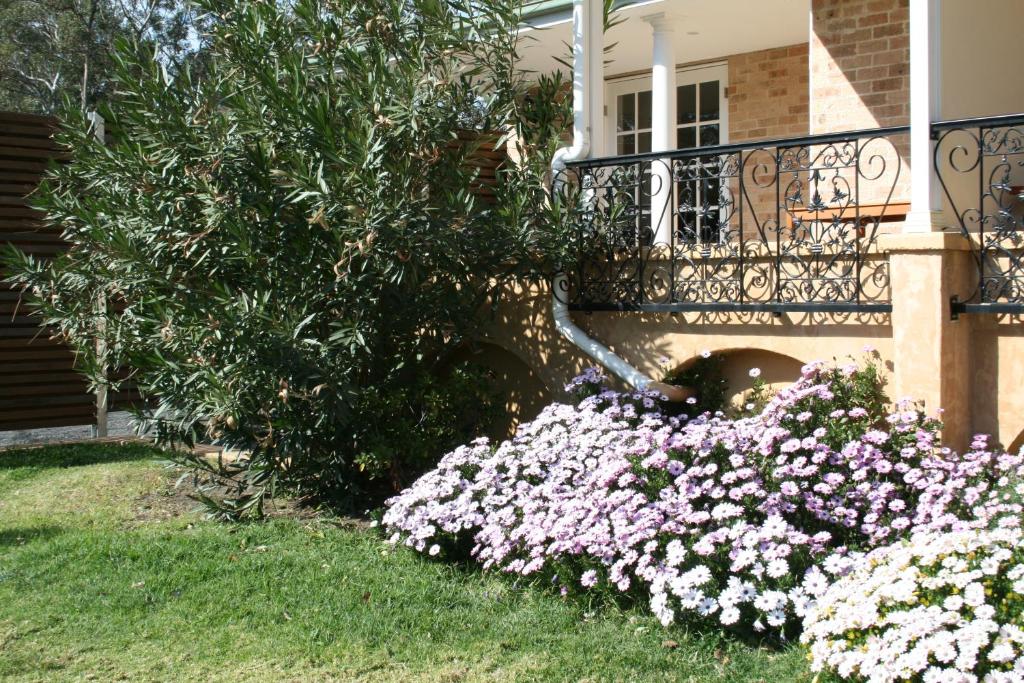 Colin's Garden photo