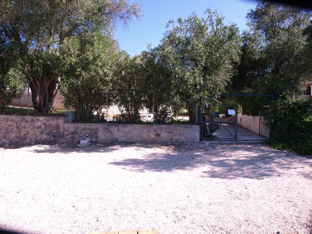 Saint Nicholas Beach Resort photo