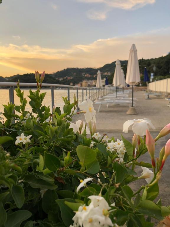 Hotel Shelley e delle Palme photo