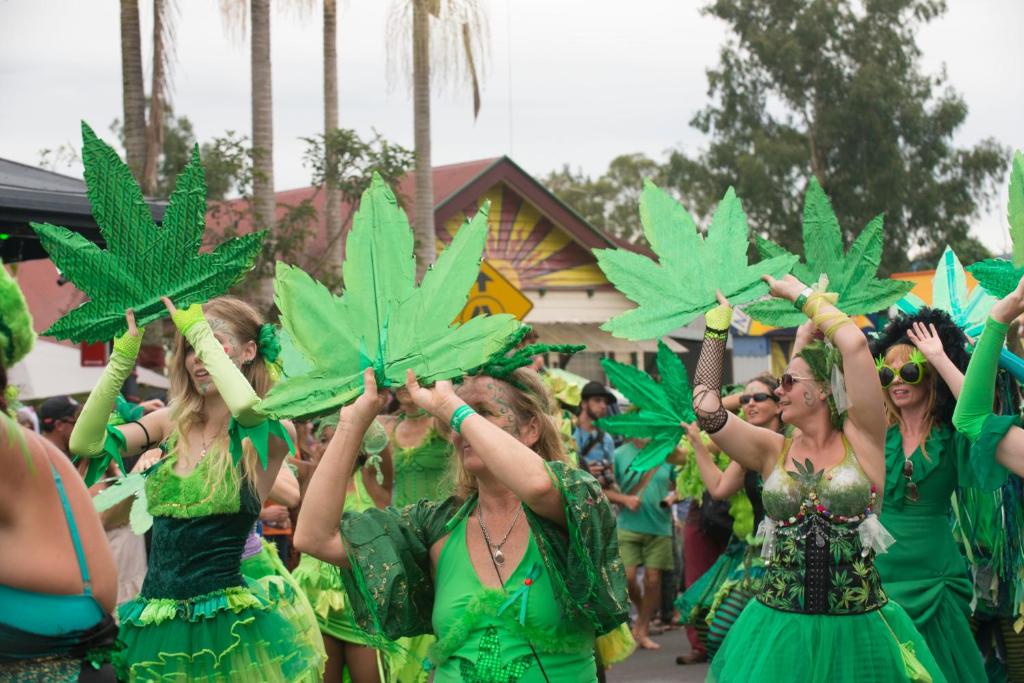 Nimbin waterfall retreat photo