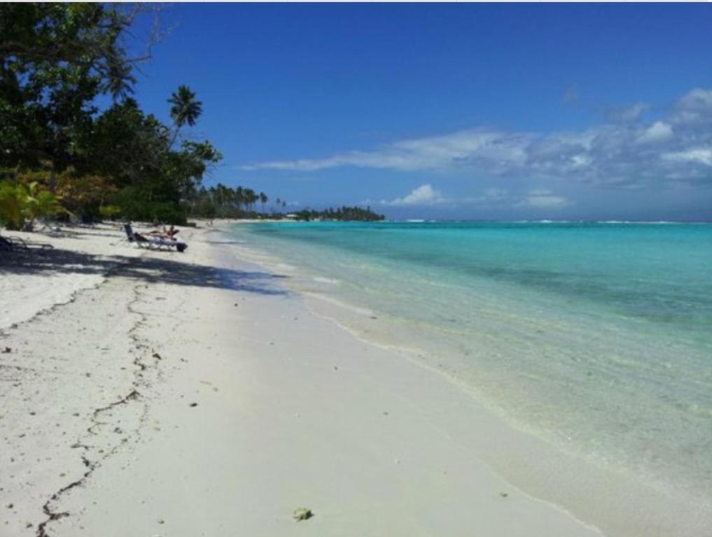 Moorea Happy Bungalow photo