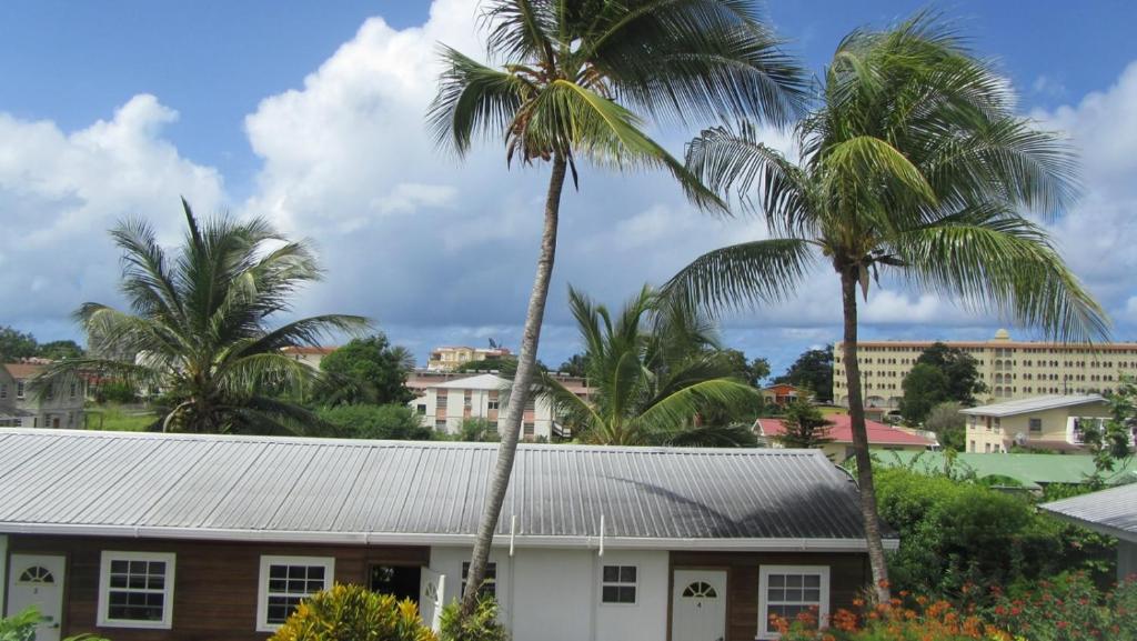 Dolphin Inn Guesthouse & Apartments photo