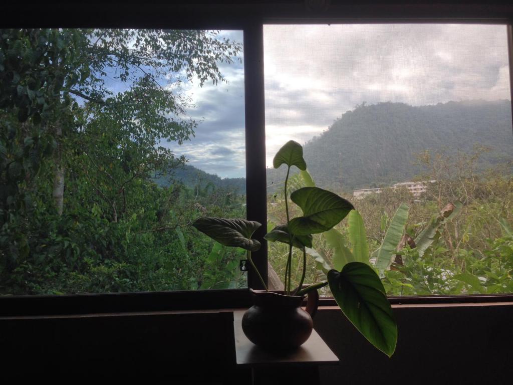 Cinnamon House photo