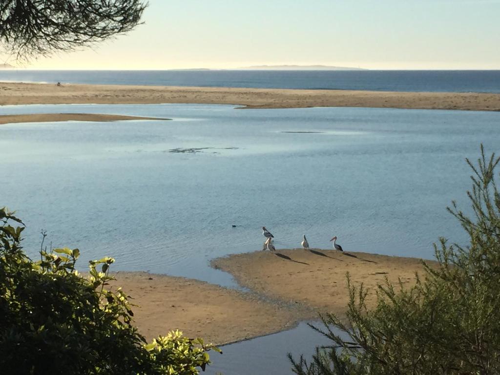 Beachcomber Caravan Park photo