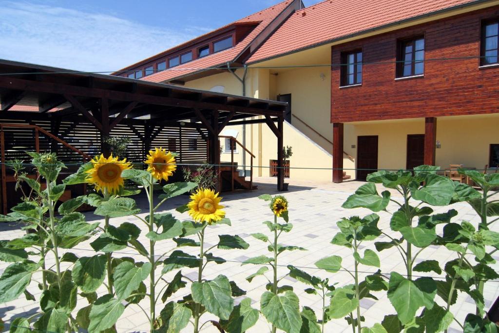 5. Hotel Po..