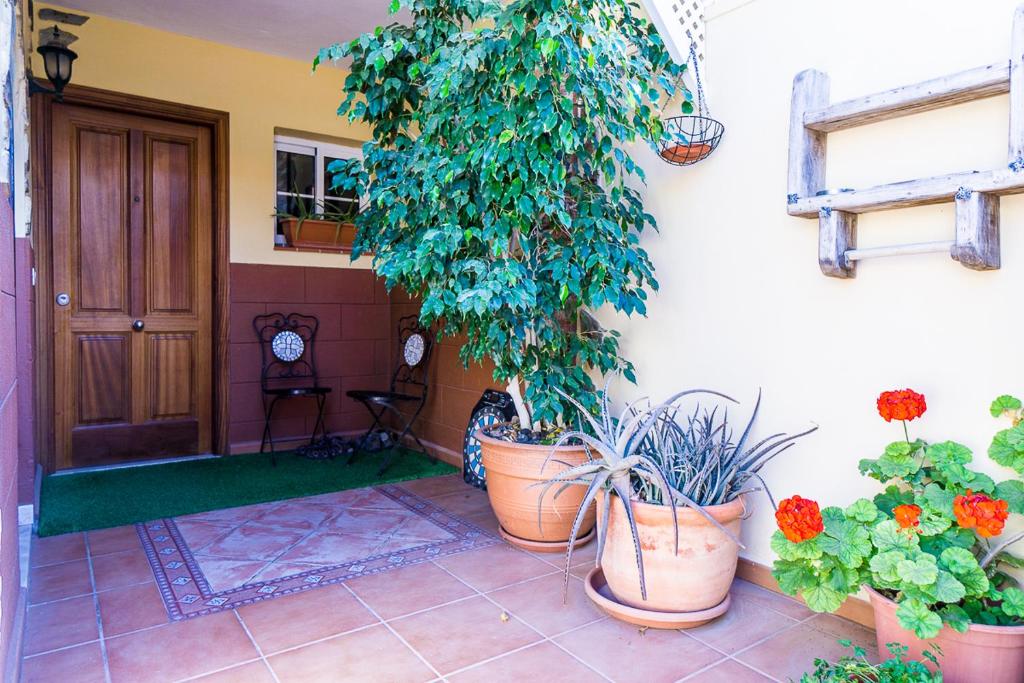 Rooms in El Medano - 3