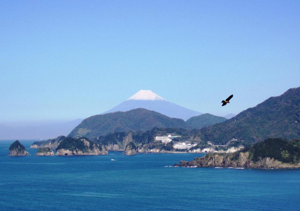 Surrounding environment