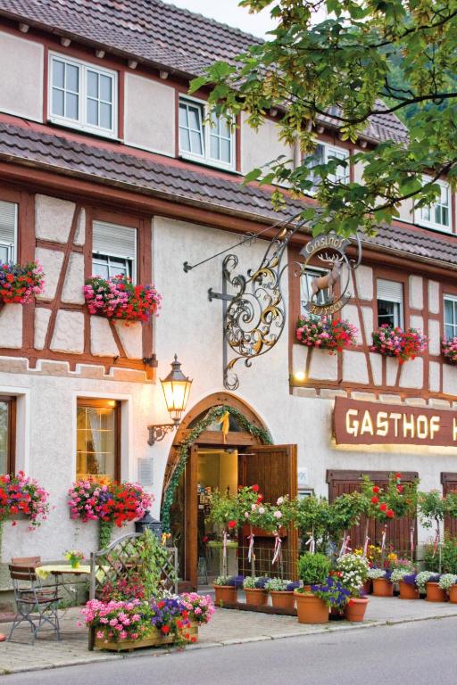 Gasthof Restaurant Hirsch photo
