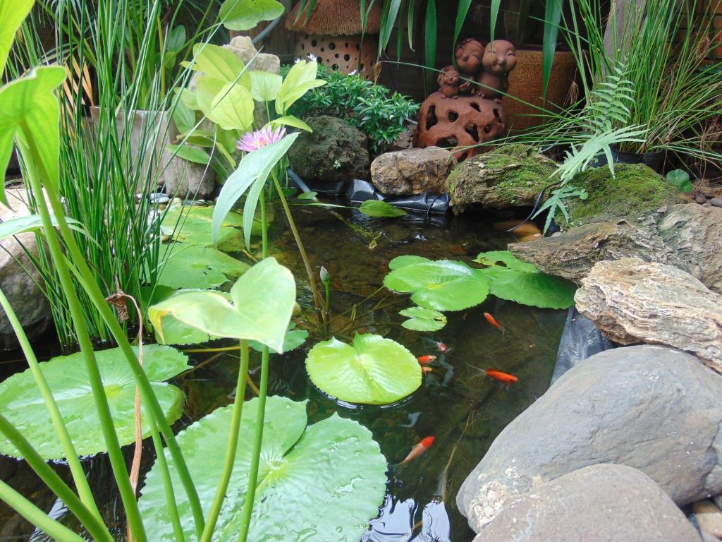 Surrounding environment