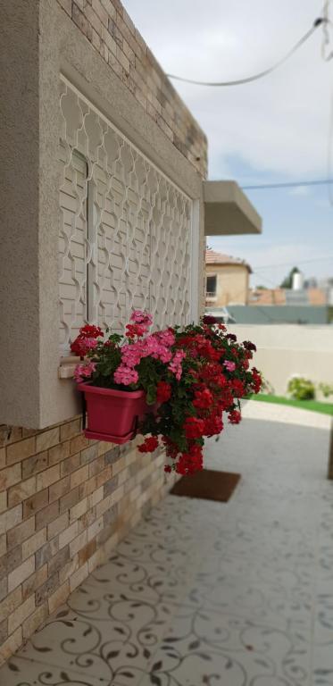 Shahal Apartments photo