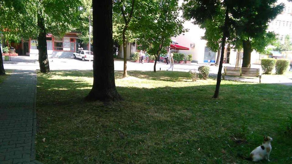 Soba Centar - 5
