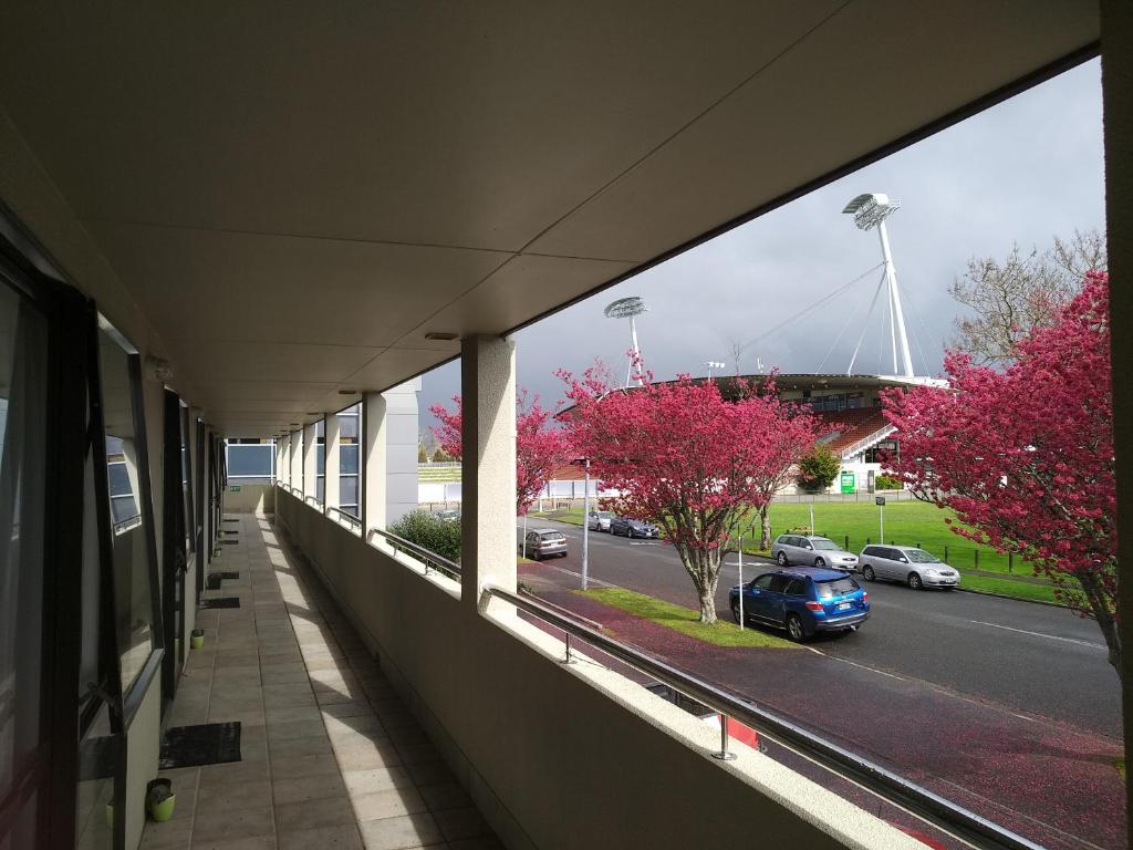 Stadium Motel photo
