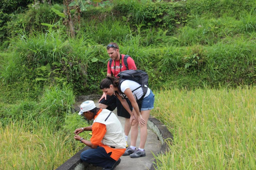 アクティビティ