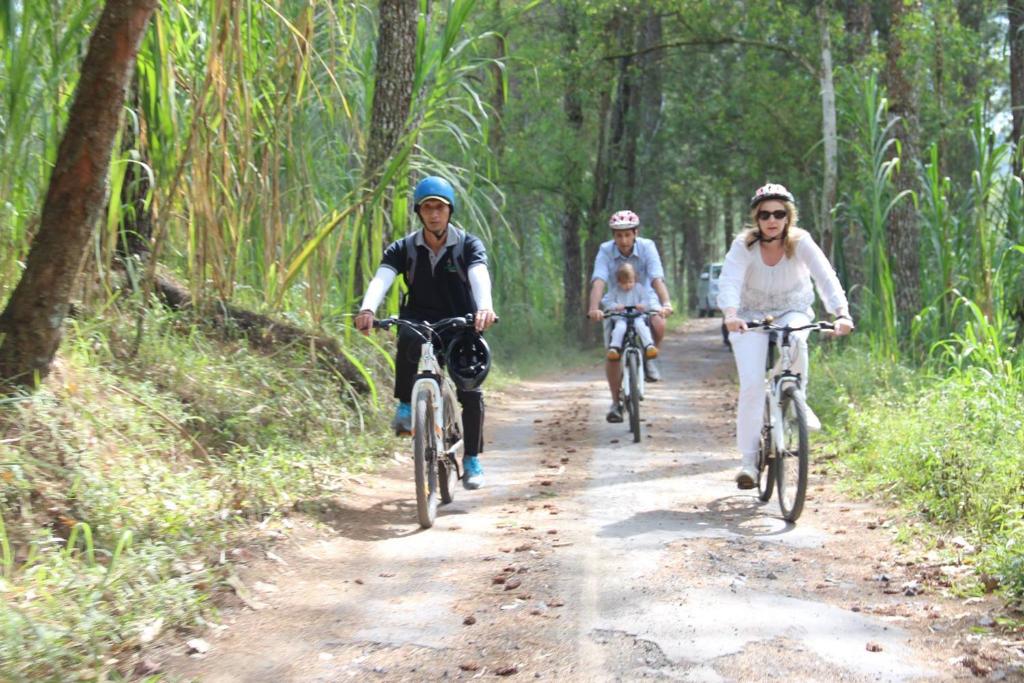 スポーツ/アクティビティ