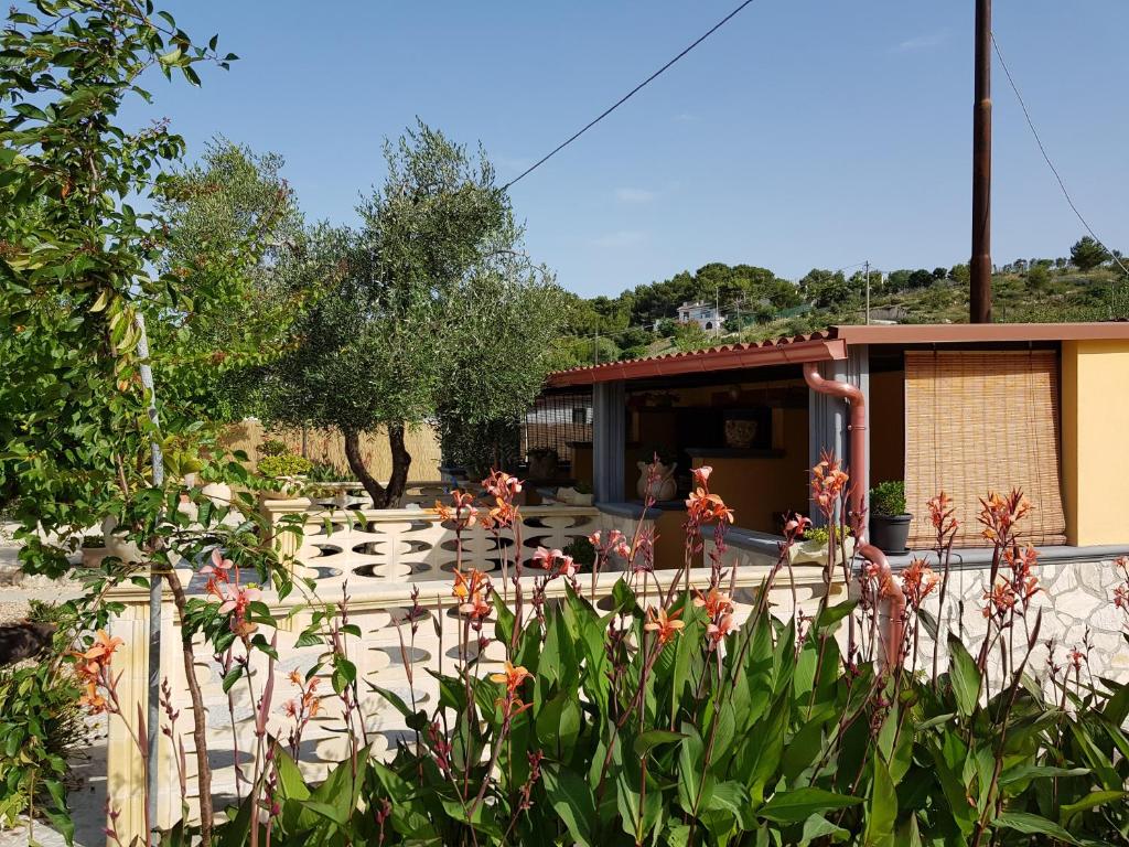 Monolocale con tetto in Legno - 4