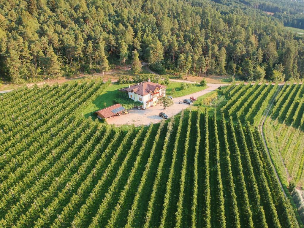 Agriturismo Maso Tafol