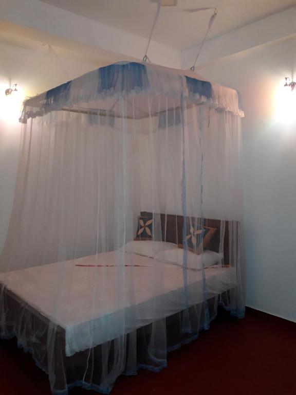 adam's apple homestay photo