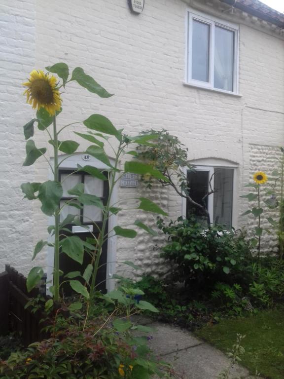 Mauds Cottage 1 — Hotel in Norwich