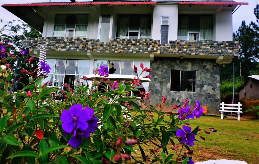 Hotel Sun Breeze photo