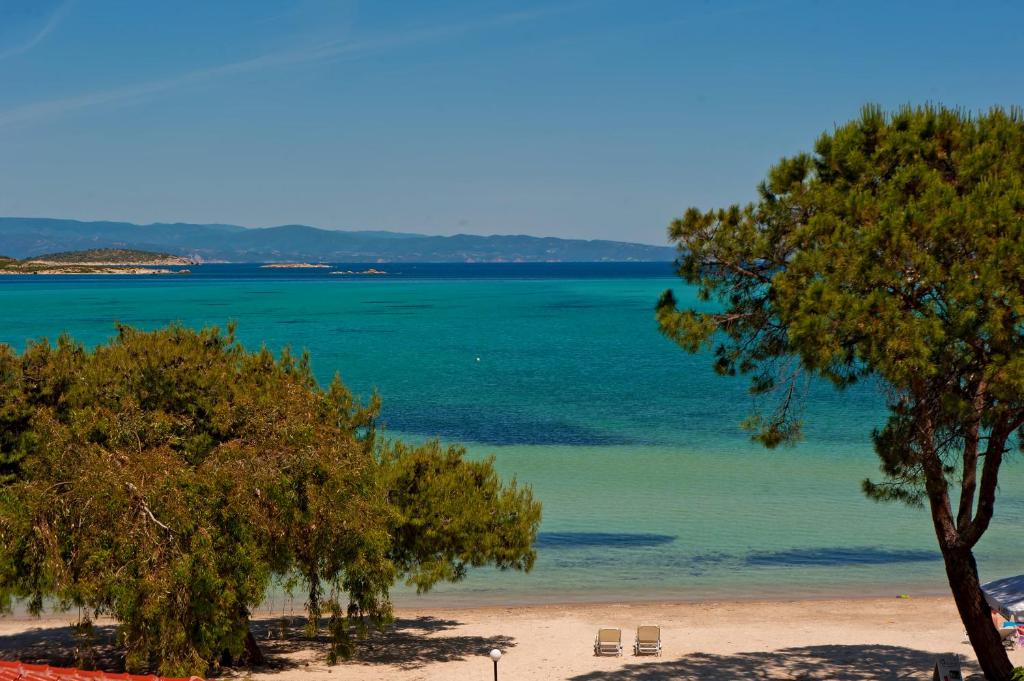 Kamares House Apartments &amp; Studios — Hotel in Chalkidiki
