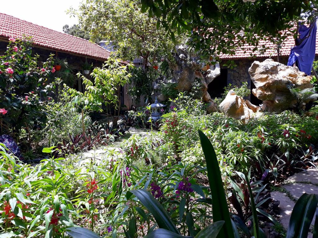 Mr. Viet home stay photo
