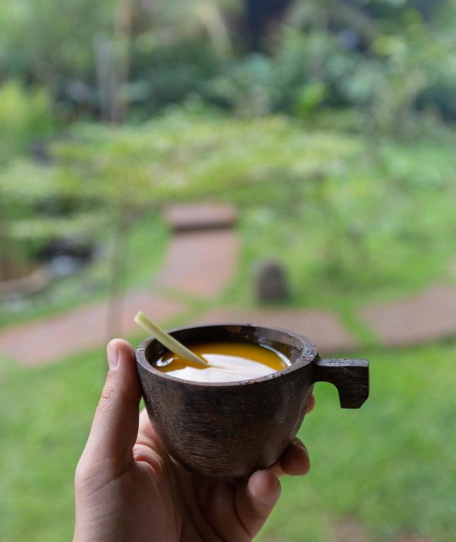 アクティビティ