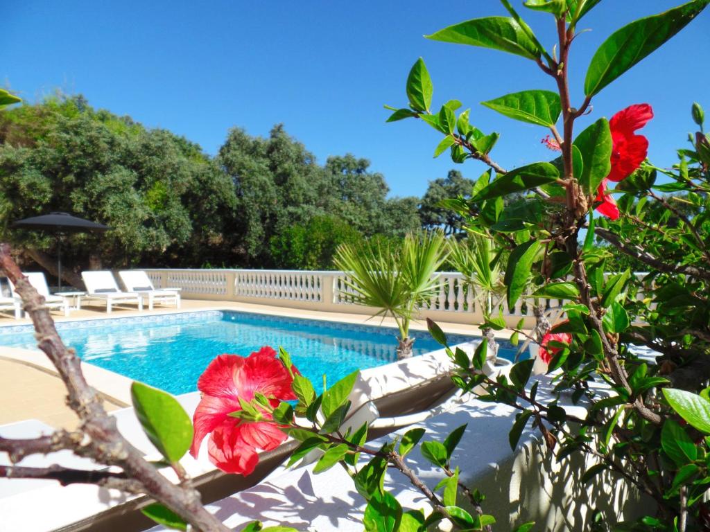 Panoramic Paradise — Hotel in Sao Bras De Alportel