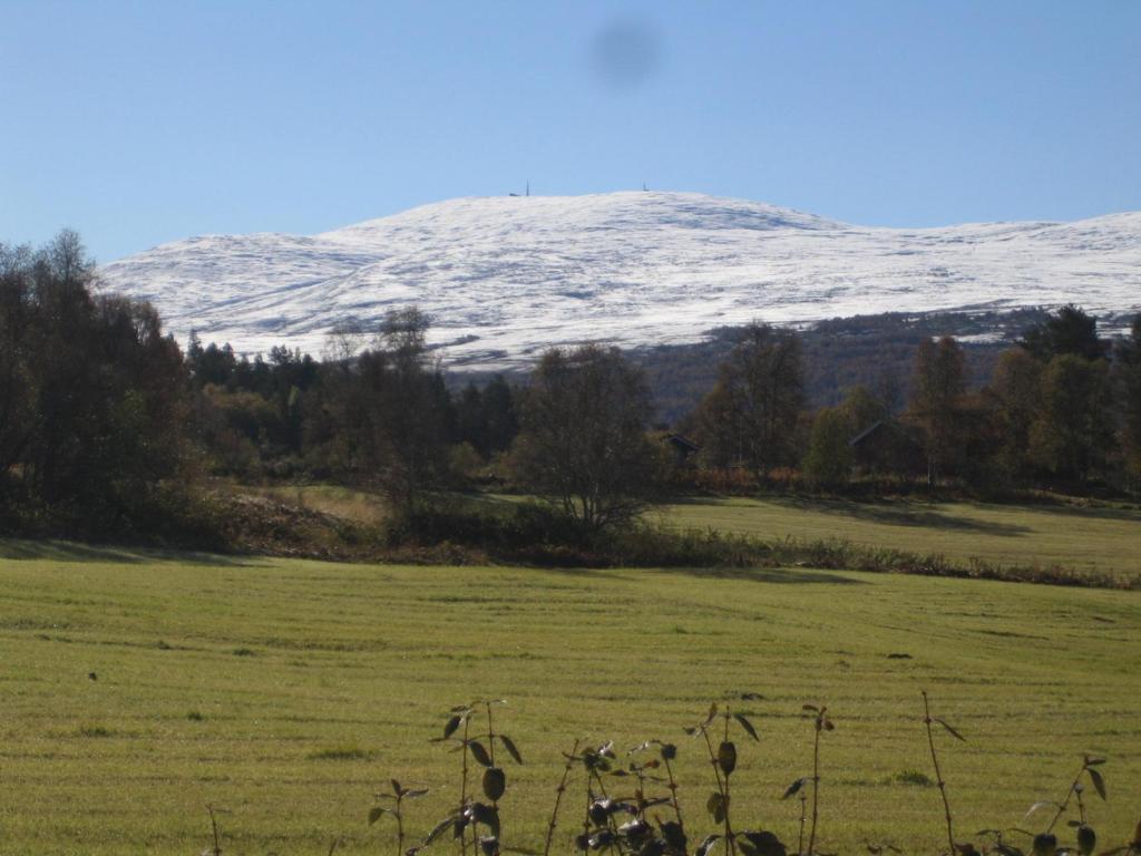 Kilátás