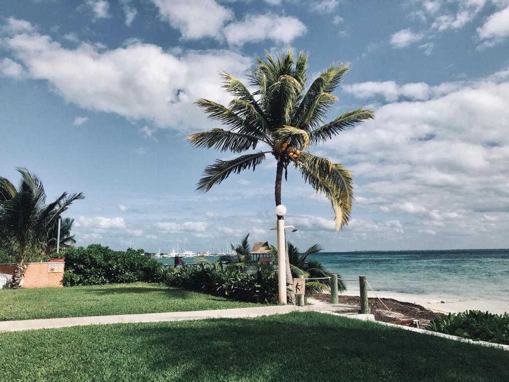 Flamingo Paradise Front by Cielo Maya photo
